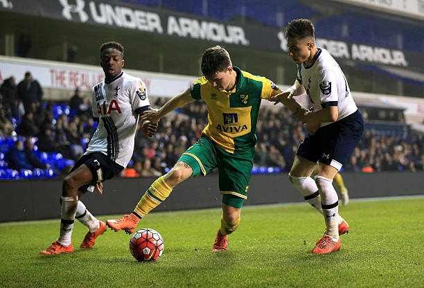 或许只是因 或许只是因