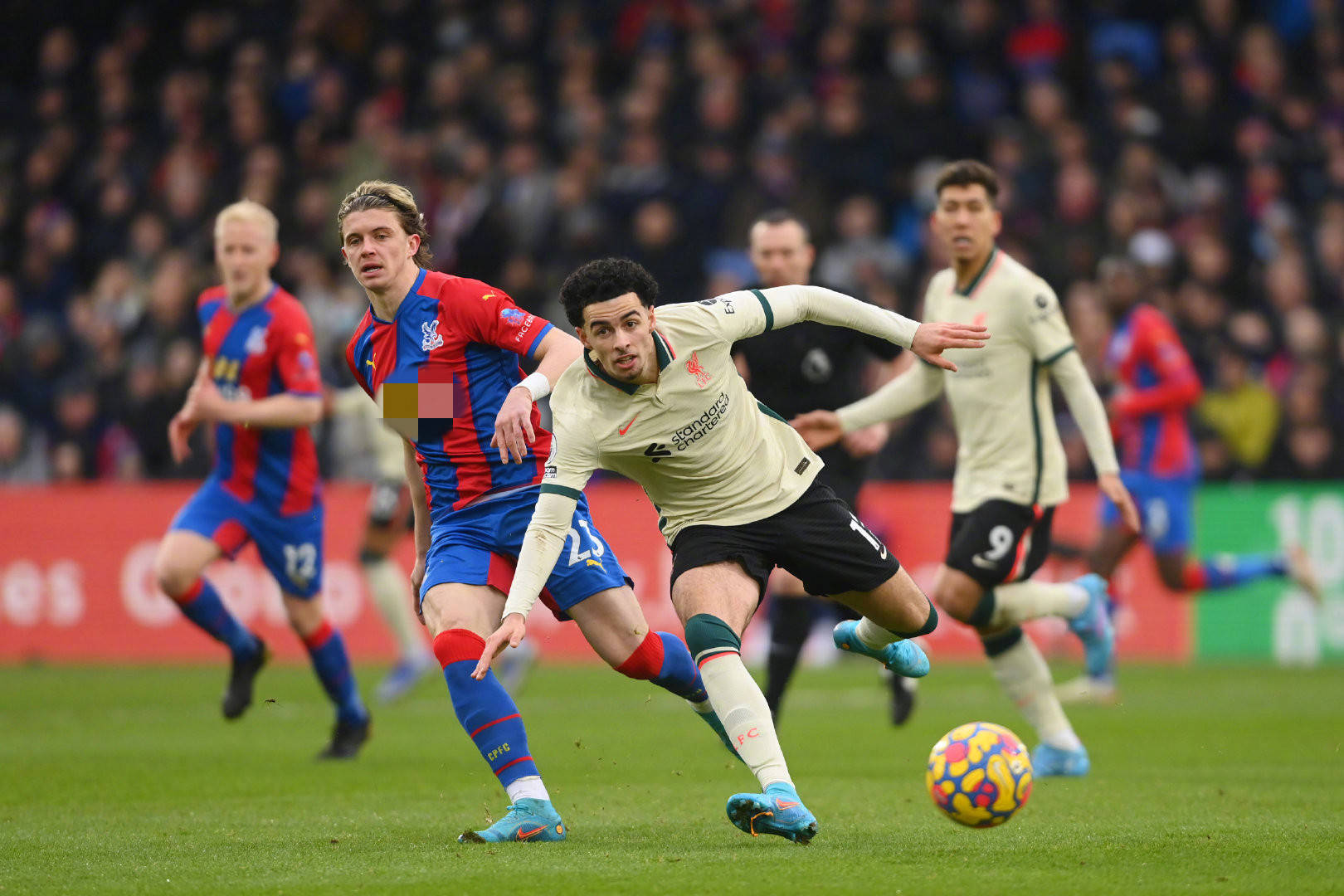 拉菲克屈居 拉菲克屈居