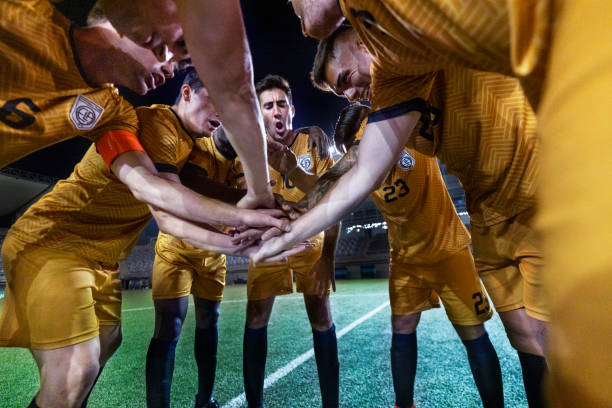 题引起了他 题引起了他