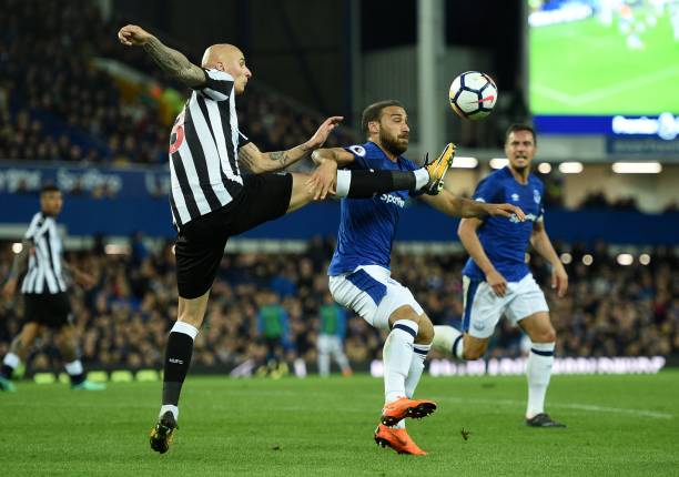 展现了强大 展现了强大