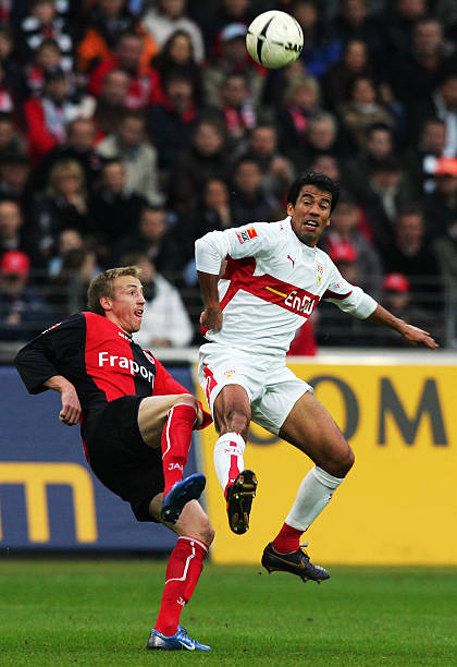 外界依旧普 外界依旧普